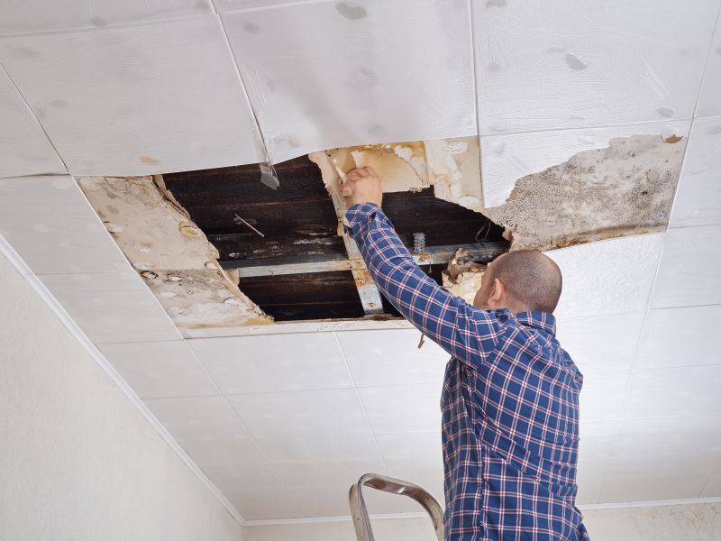 Ceiling Repair