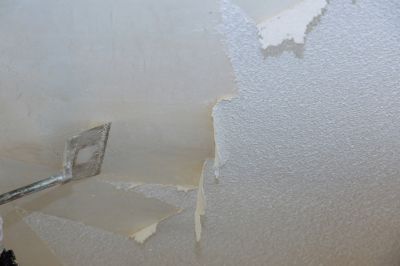 Ceiling Repair
