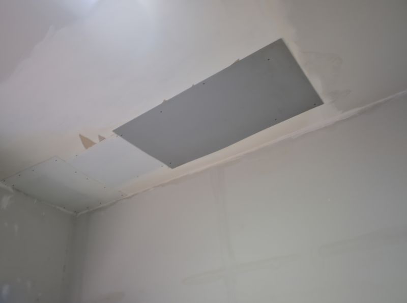 Ceiling Repair