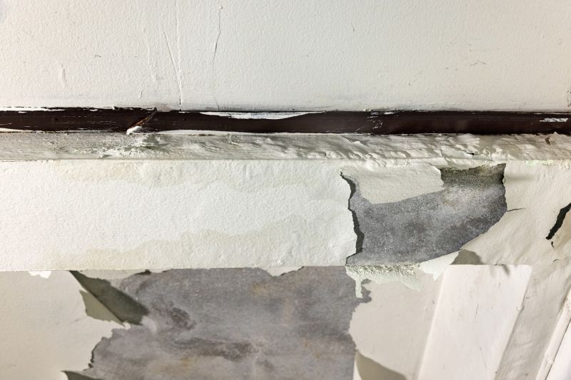 Ceiling Repair