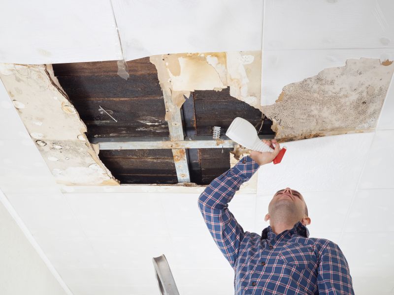 Ceiling Damage Repair